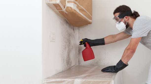 Professional Mold Removal technician working in Withams, VA